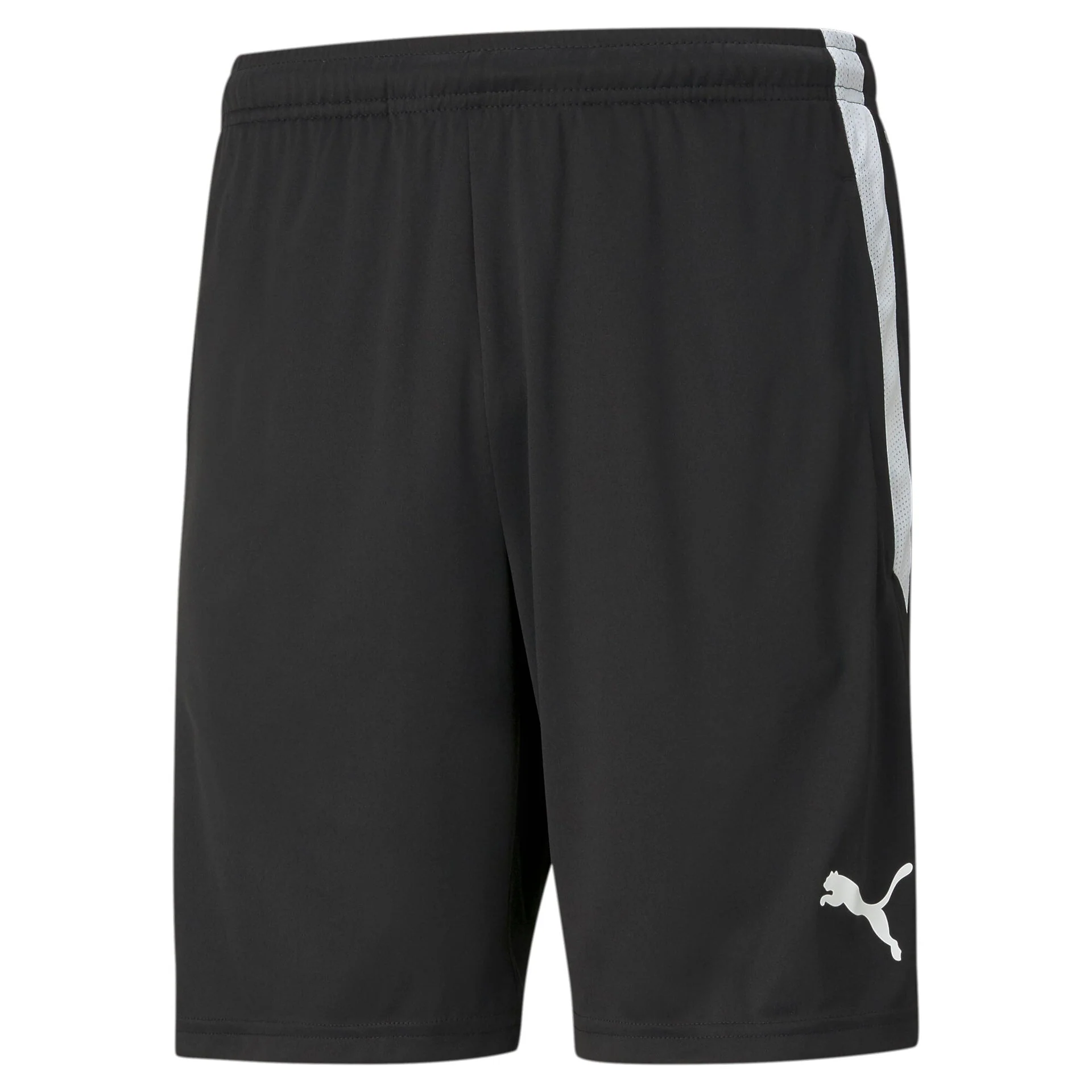 Teamliga Training Shorts - Image 2