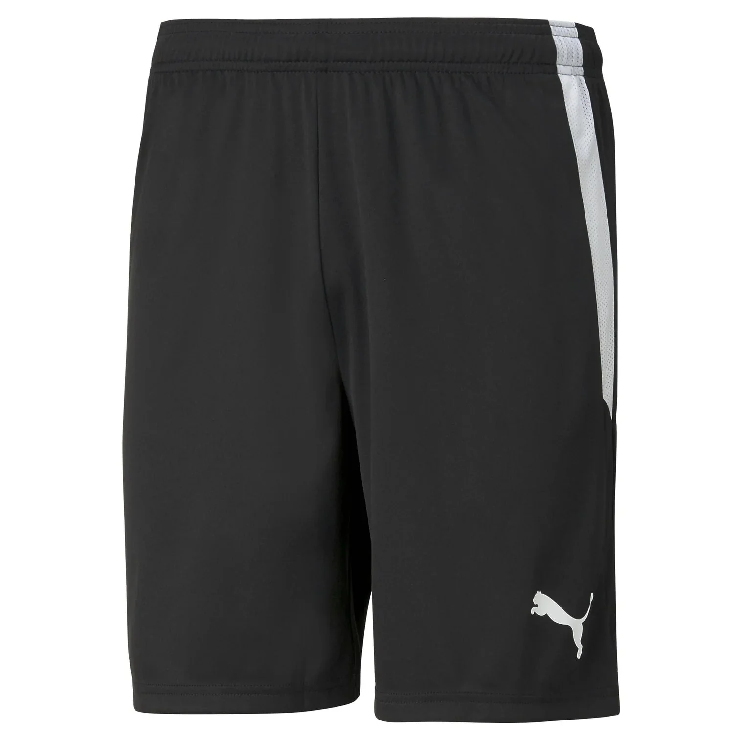 teamLIGA Shorts - Image 3
