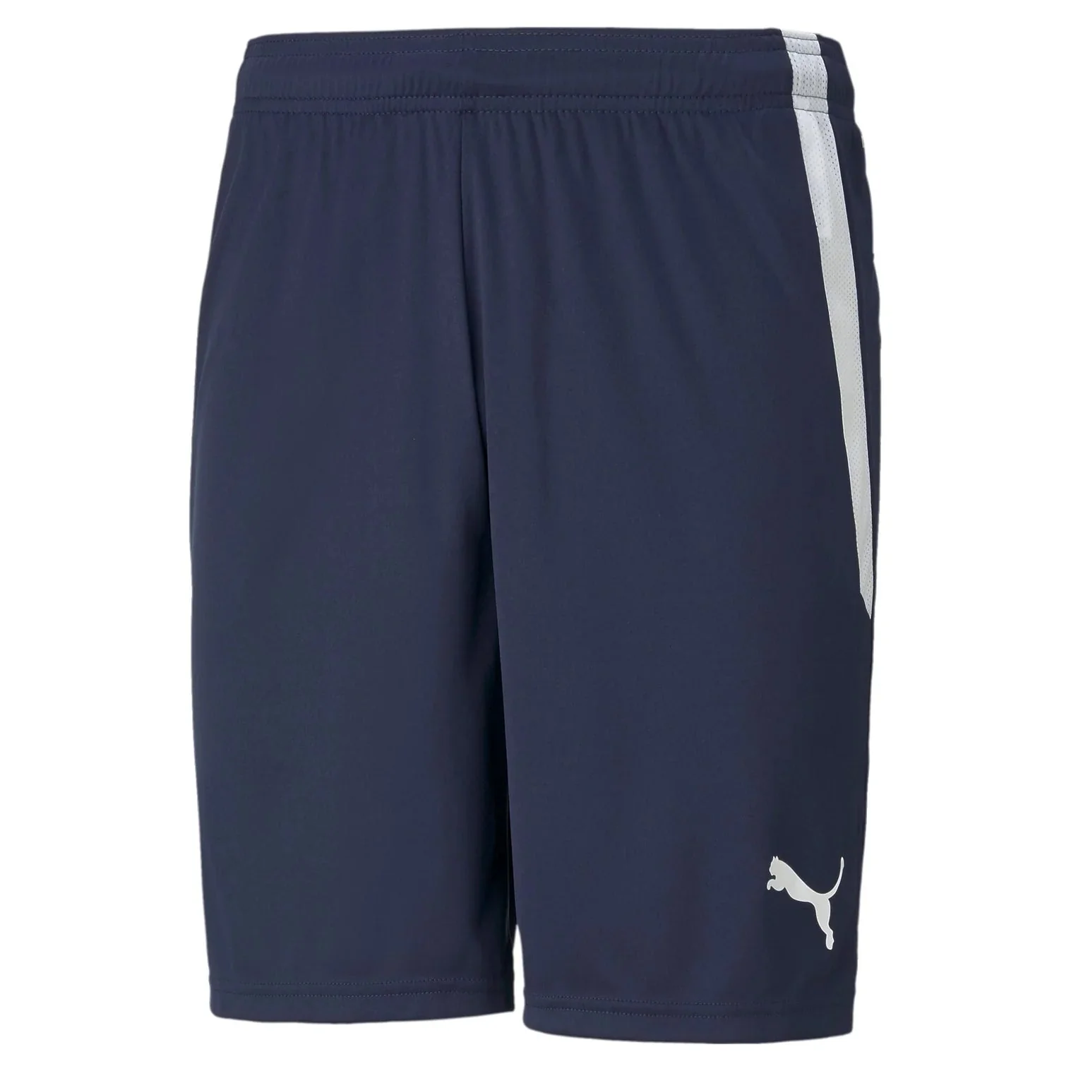 Teamliga Shorts - Image 3