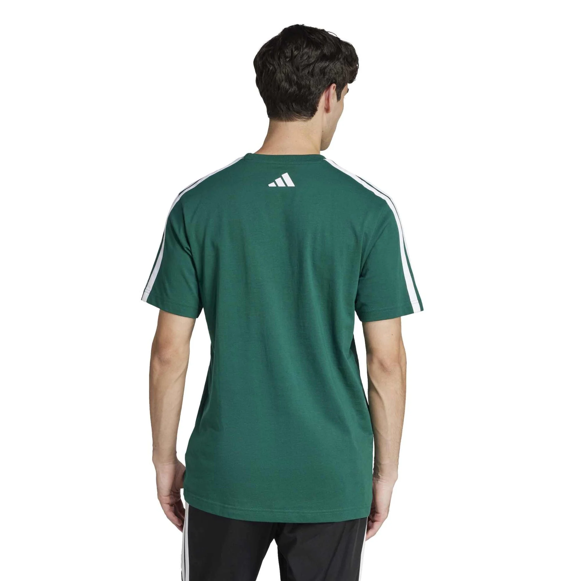 Codes Collegiate Linear Graphic Tee - Image 3